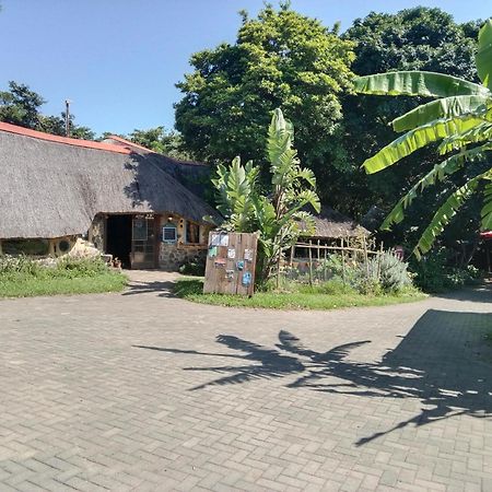 Yellowwood Forest Eco Retreat Morgan's Bay Ngoại thất bức ảnh