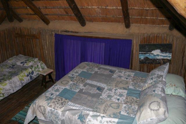 Yellowwood Forest Eco Retreat Morgan's Bay Ngoại thất bức ảnh
