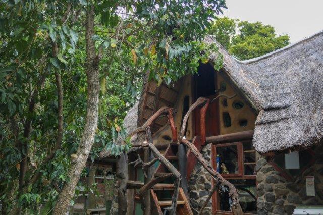 Yellowwood Forest Eco Retreat Morgan's Bay Ngoại thất bức ảnh
