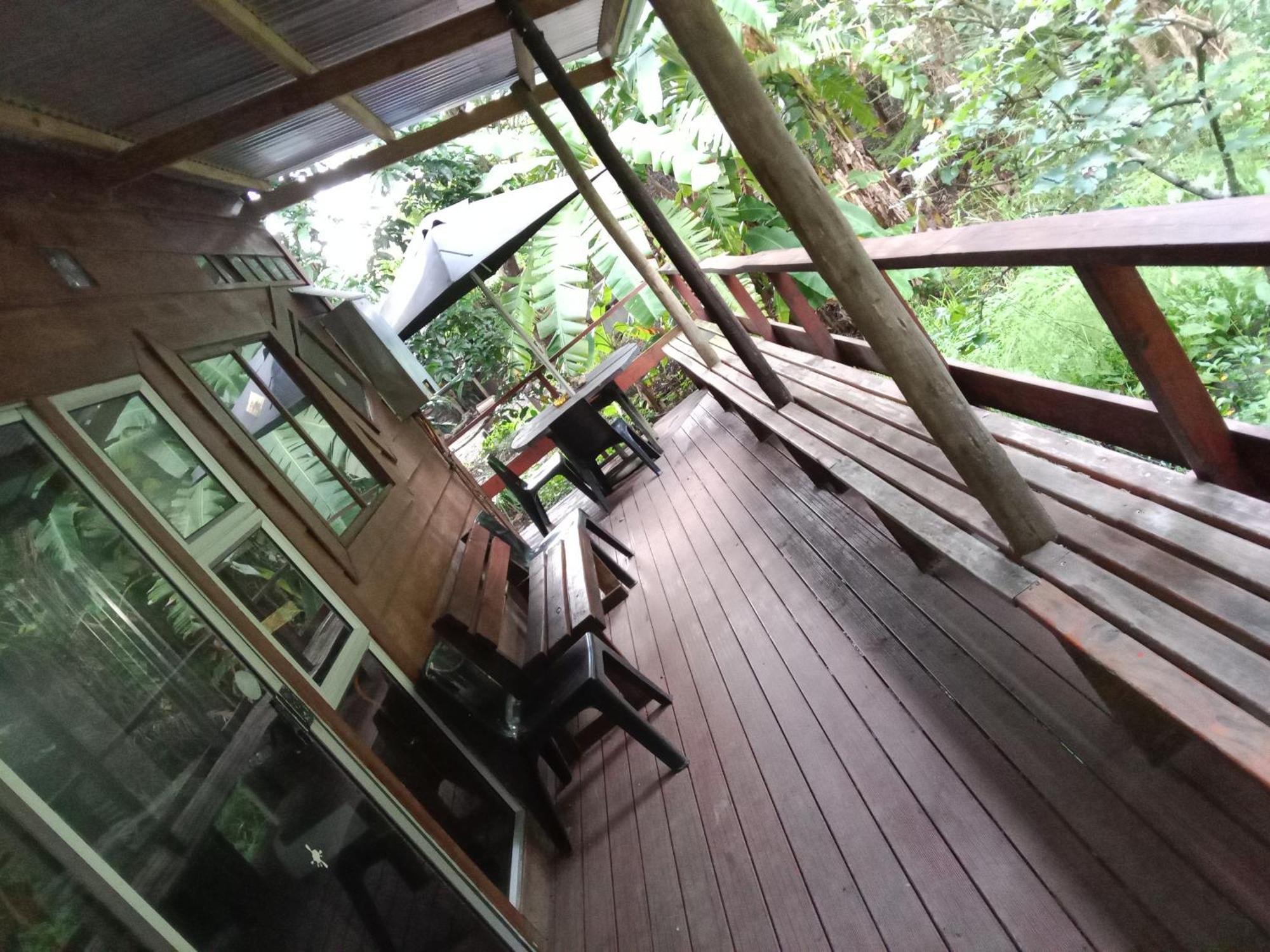 Yellowwood Forest Eco Retreat Morgan's Bay Ngoại thất bức ảnh