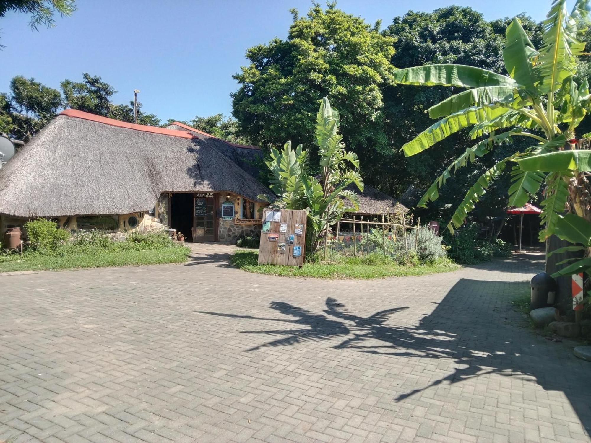 Yellowwood Forest Eco Retreat Morgan's Bay Ngoại thất bức ảnh